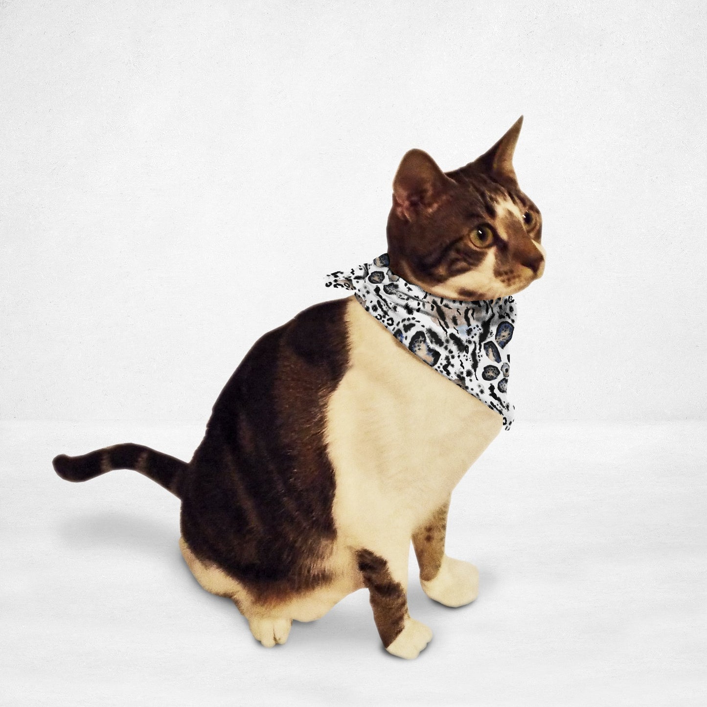 Animal Print Cat & Dog Bandana - ONEZINOTTA , jewelery that shines like gold...